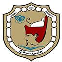 newsohag Logo